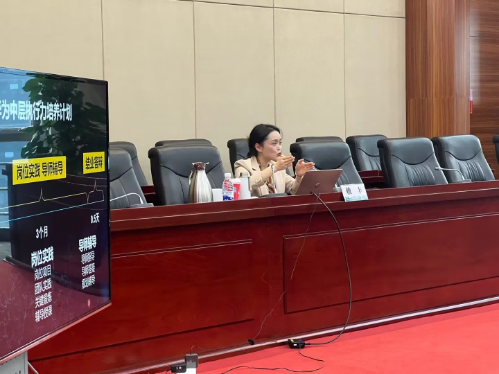 賴豐:國家電網(wǎng)-人才激勵與人才隊伍建設培訓